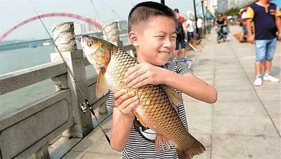 【钓鱼新闻】龙王庙亲水平台惊现“鱼潮”