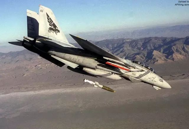 森蚺行动中的F-14“雄猫”战斗机（下）