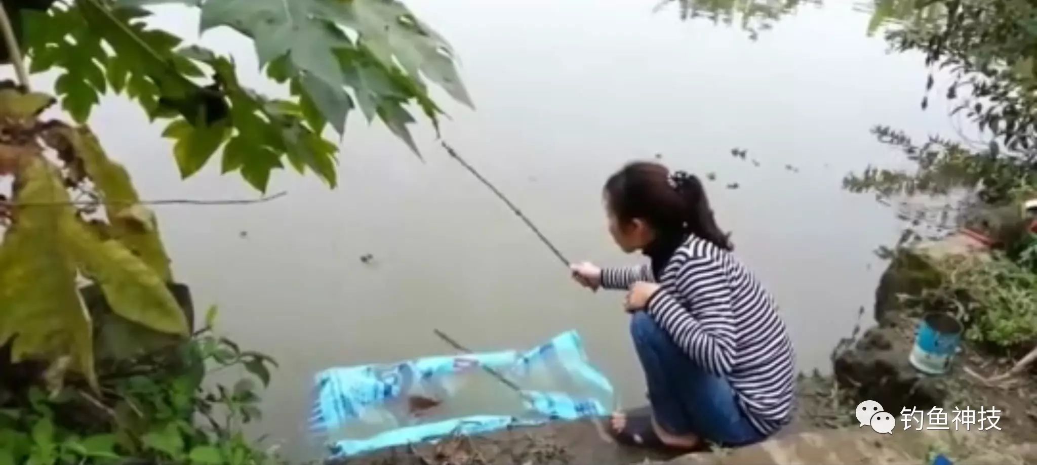 女子有树枝在河边钓鱼，装备简陋没想到鱼这么多