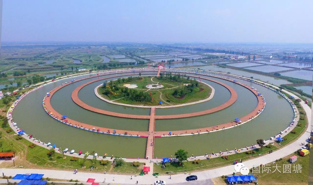 中国钓王集体“折戟”大圆塘，1536人共同见证新“塘王”的诞生