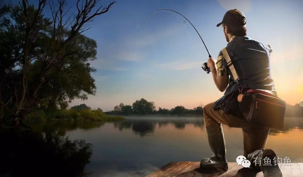 【技巧】你和钓鱼大师最大的区别——你不会逗鱼！