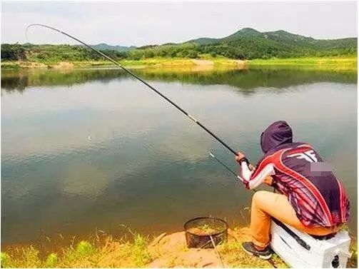 【钓鱼技巧】怎样钓好大草鱼青鱼。