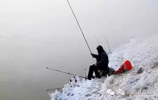 冬季钓鱼注意这三个细节，你就离爆护不远啦！
