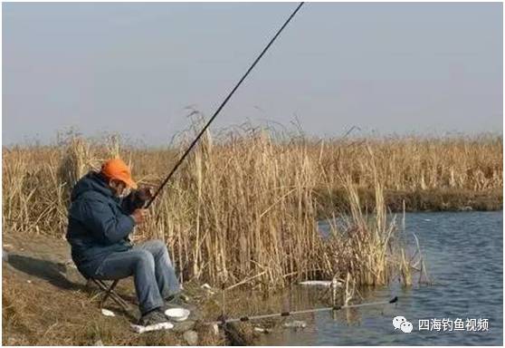 【钓鱼技巧】春季枯草边钓鱼的优势和要点
