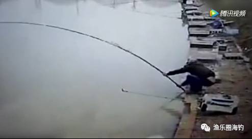 男子钓鱼不成反被鱼钓，连人带竿被大鱼拖入水中。