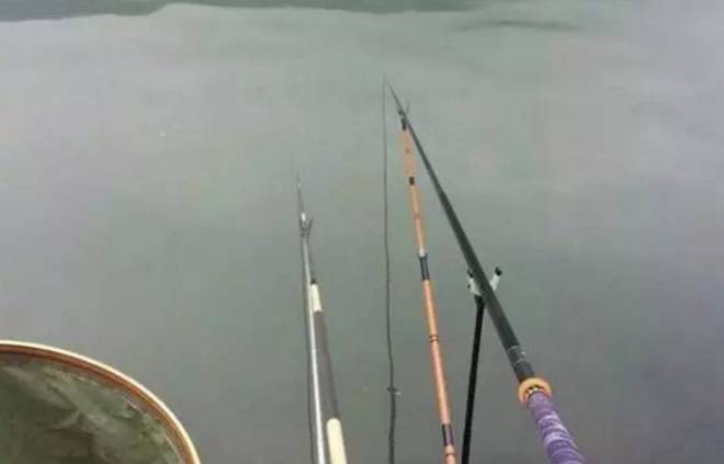 钓鱼时竿尖要入水的原因，原因在这里！