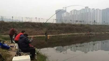 广州寒冬阴冷天封竿不钓鱼？没这个必要！