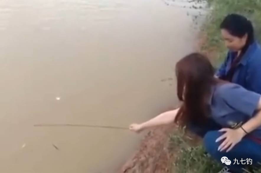 美女在河边用小木棍钓鱼 没想到钓到大鱼