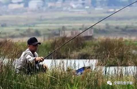 春季钓鱼选位的应对技巧