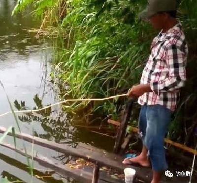 【视频】雨天挖蚯蚓用竹竿照样能钓鱼