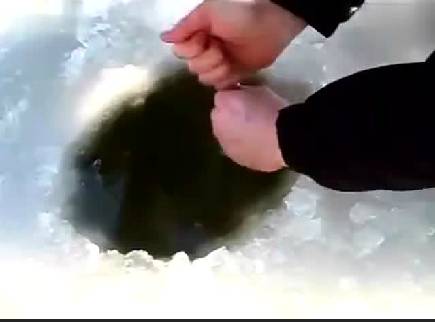 【视频】冰钓洞太小拉了半天,看到渔获的瞬间狂喜!