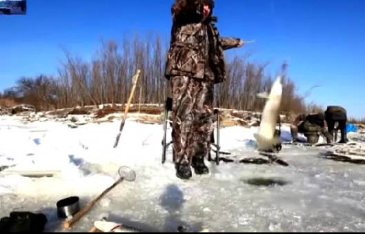 【视频】看看高手如何休闲地用两把鱼竿钓鱼，鱼挺大技术也真熟练！