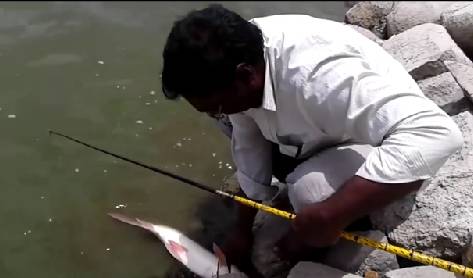 【视频】印度人的钓鱼方式，有点不一样