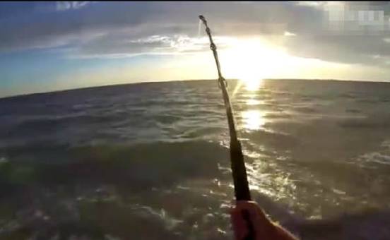 【视频】牛人海边钓鱼引得众人尖叫连连，一看就不是正经鱼