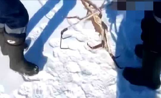 【视频】男子锯开冰面想钓鱼，却意外收获大个帝王蟹！