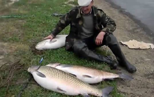 【视频】男子水库钓鱼，一个小时钓到3头大草鱼