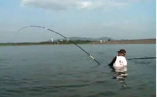 【视频】美国男子坐皮筏艇钓鱼，一下一条全是大鳊鱼，令人羡慕