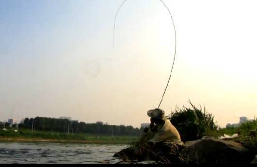 【视频】野外钓鱼遇到大家伙，鱼竿都拉成这样了，当提上岸时····