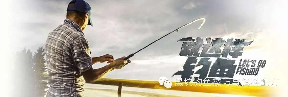 【钓鱼视频】就这样钓鱼西北黑坑战猾鱼