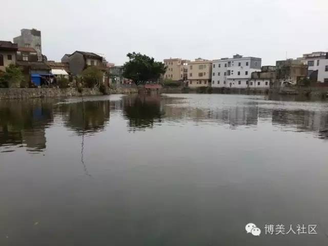 【博美休闲生活】东门池钓鱼