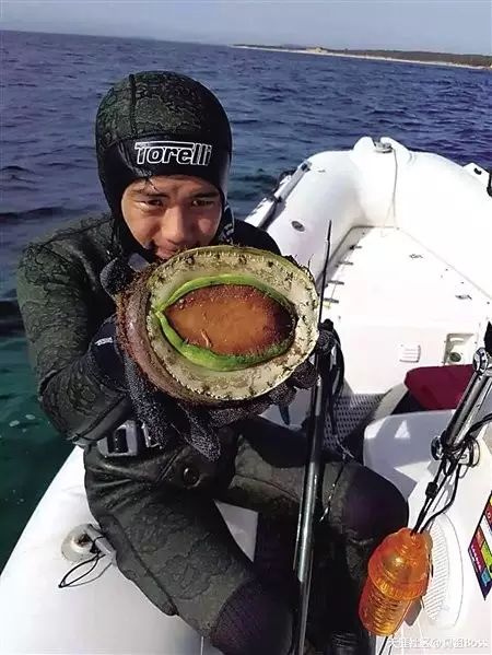 中国男子澳洲海钓 手掌大的鲍鱼都吃腻了