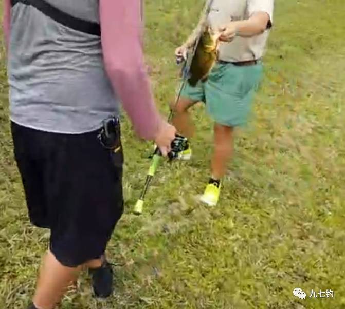 钓鱼视频：路边小池塘里，路亚钓到好多鱼
